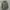 Parka Jacket Rodeo Crown photo 1