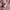 Dolce & Gabbana Pink Knitwear Sweater Luxury photo 6