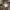 DogTown Vintage Y2K Formal shirt Pria brown photo 7
