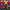 South korea 1998 Vintage Jersey Retro Template photo 6
