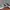 𝙎𝙖𝙡𝙚𝙬𝙖 𝙧𝙪𝙣𝙣𝙞𝙣𝙜. 𝙎𝙞𝙯𝙚 38,5 photo 3
