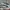 𝙎𝙖𝙡𝙚𝙬𝙖 𝙧𝙪𝙣𝙣𝙞𝙣𝙜. 𝙎𝙞𝙯𝙚 38,5