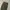 Hysteric Cargo Size 27 photo 4