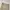 Duluth Cargo Size 40 photo 2