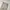 Duluth Cargo Size 40 photo 4