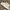 Vans old scool full white  photo 3