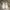 Vans old scool full white  photo 1