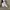 Baggy super balloon super wideleg photo 8