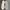 Marimekko Low Top Sneakers Canvas White Unisex photo 8