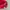 Beyond The Vines Cap Tokyo Exclusive  photo 4