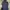 Jacket Discovery gopcore photo 1