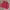 KNIT PATTERN 3D RED photo 3