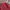 KNIT PATTERN 3D RED photo 6