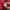 KNIT PATTERN 3D RED photo 7