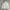 Polham Puffer Down Jacket