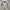 Mont-bell Light Puffer Jacket
 photo 6