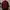 LMC Text Logo Half Zip Sweatshirt
