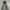 Unknown Ultralight Puffer Down Jacket photo 5