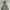 Unknown Ultralight Puffer Down Jacket photo 6