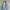 Nike Reversible Ultralight Puffer Down Jacket photo 7