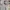 Crop Top Sabrina Garis Oversize – Off Shoulder Casual Adem photo 3