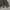 LEVI'S Vintage Big Logo Crewneck Sweatshirt photo 5