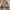 Playboy Jacket Suede Brown/Tan/Khaki Double Layer photo 1