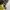 Polo Ralph Lauren Yellow Cable Knit Cardigan photo 5