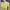 Polo Ralph Lauren Yellow Cable Knit Cardigan photo 2