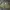 Aubrey Heritage Short Track Pants Chronic Army Green photo 1
