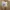 Playcdg photo 4