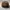 Topi Polo by Ralph Lauren Casual Brown Travis Scott OSFA Sec photo 6