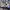 Vintage Streetwear Sneakers Pria Cream