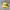 Topi Nike Vintage Yellow Adjustable Second Original Import M photo 1
