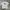 Kaos stussy basic white second original photo 3