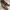 Payless Comfort Women's photo 1