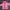 PINK JAKET photo 1