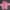 PINK JAKET