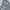 Casual Sweater Pria gray photo 2