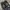 TWO ANT BLACK WASHED JEANS photo 8