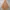 OMMAR Adjustable Pullover Anorak Jacket