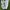 Nike Air Jordan Langka rare photo 3