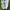 Nike Air Jordan Langka rare photo 3