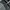 Baggy jeans Grey  photo 9