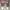 Converse Star Player X John Varvatos Tapak Bening photo 4