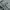 Baggy jeans grey photo 7