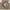 APC APACHE PULLOVER FIELD COAT JACKET SAFARI photo 5