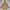 APC APACHE PULLOVER FIELD COAT JACKET SAFARI photo 2