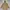 APC APACHE PULLOVER FIELD COAT JACKET SAFARI
