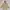 APC APACHE PULLOVER FIELD COAT JACKET SAFARI